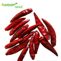 Asian  high yield vegetable plant red dry pepper chilli seeds